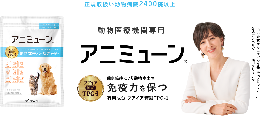 アニミューン
