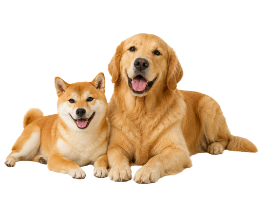 大型犬